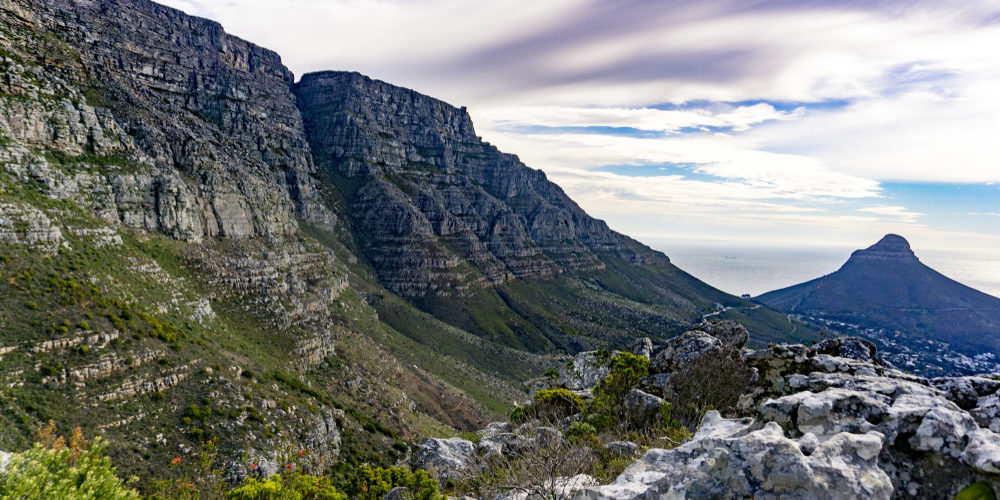 Table Mountain Times