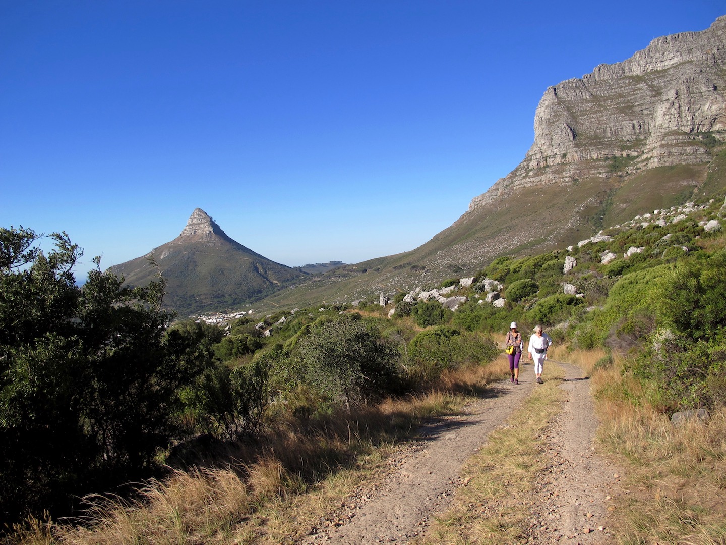 Hike Addicts - The Best Table Mountain Guided Hikes in Cape Town