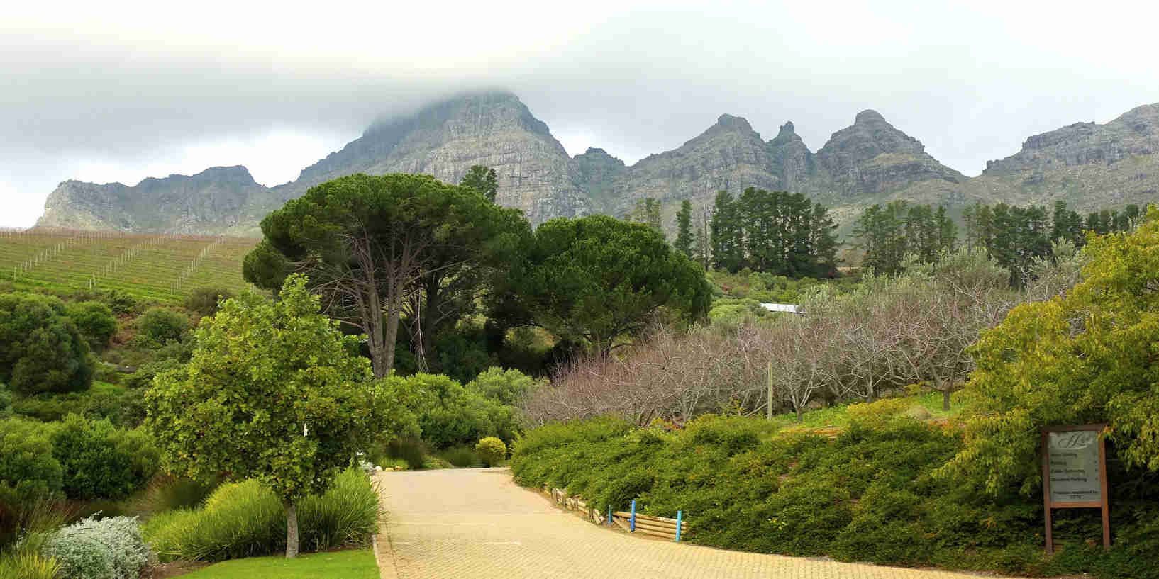 hiking-the-amphitheatre-trail-in-the-drakensberg-south-africa-south